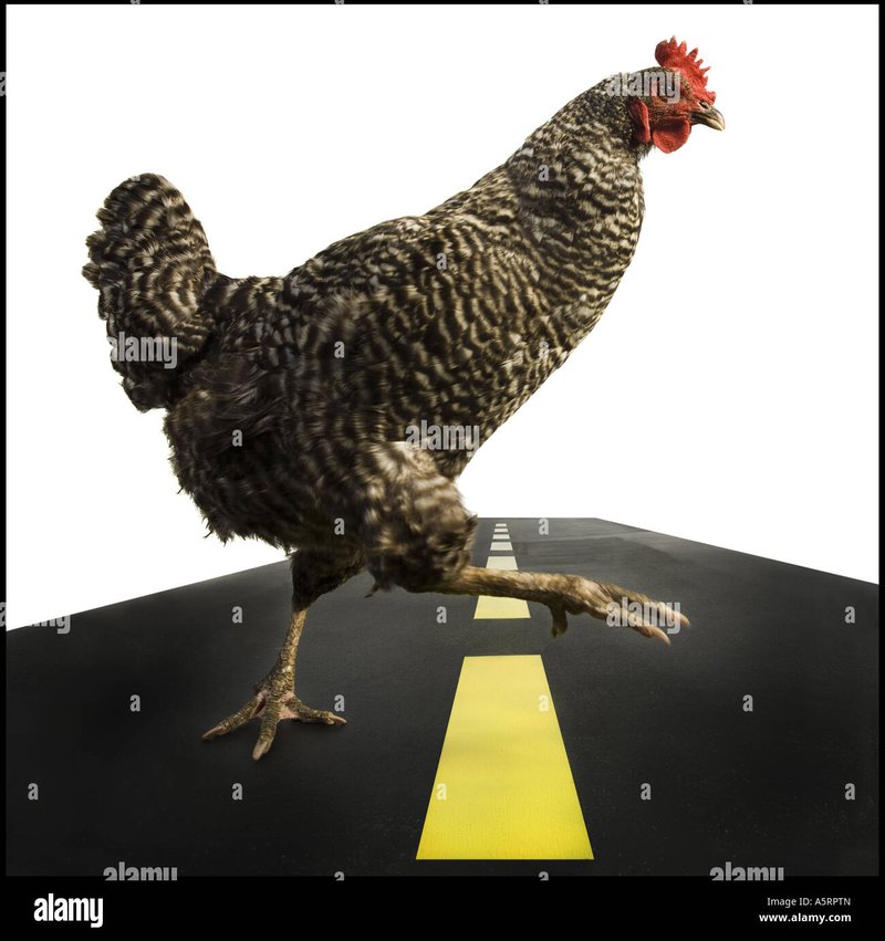Descubre el Mundo de Chicken Road 2 en los Casinos Españoles en Línea in Spain